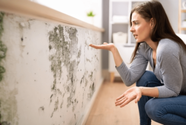 Naturally Remove Mold in Your Miami Home